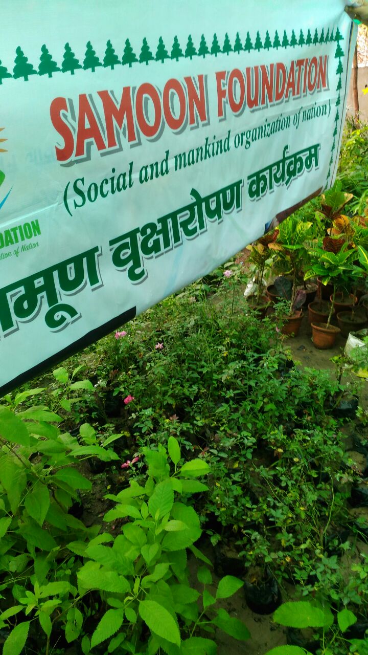 Successfully Plantation Of 1000 Plants In July 2017