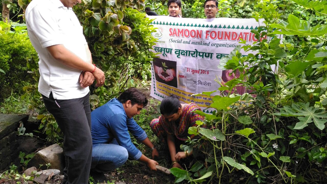 Successfully Plantation Of 1000 Plants In July 2017