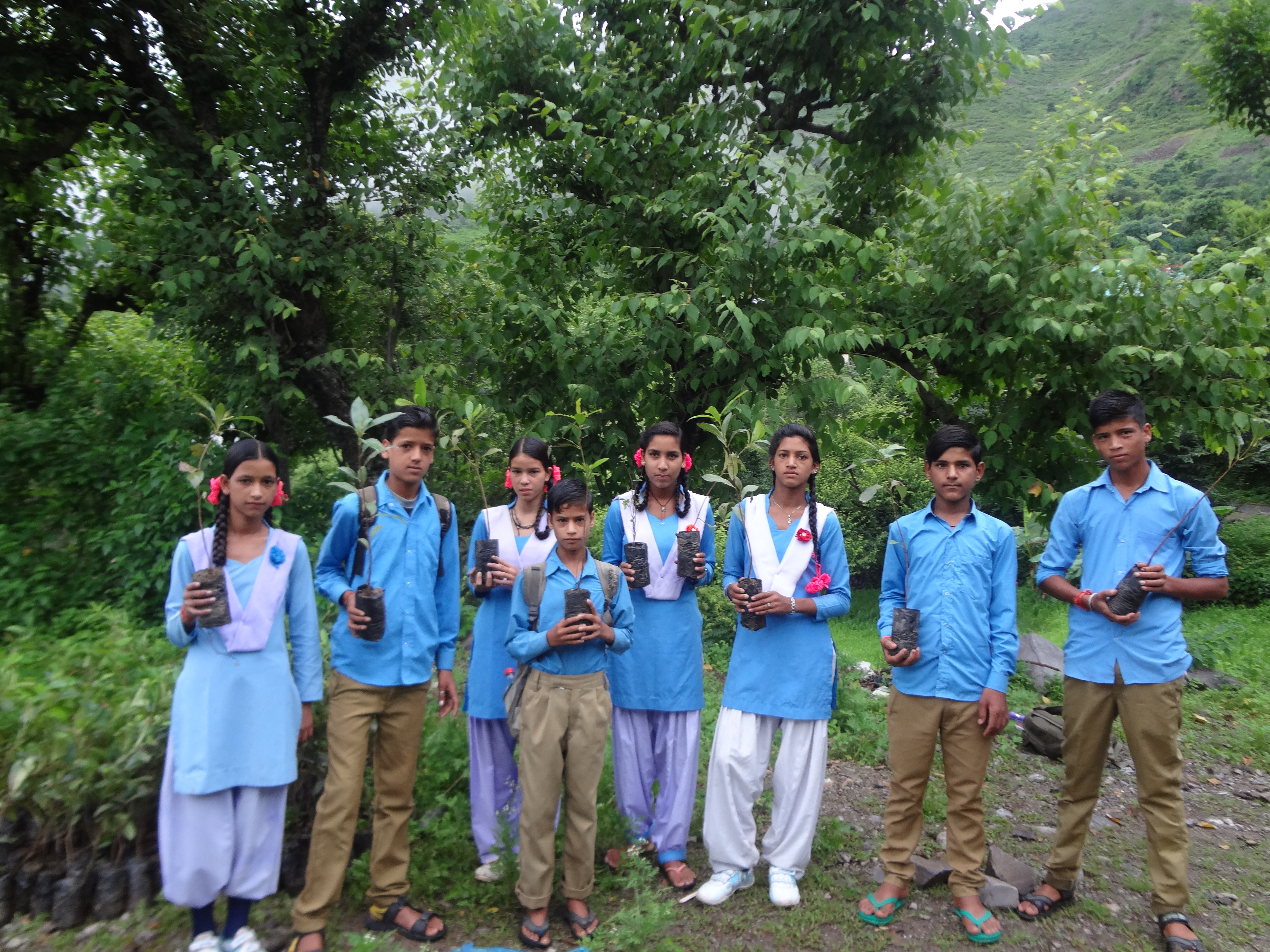 Successfully Plantation Of 1000 Plants In July 2017