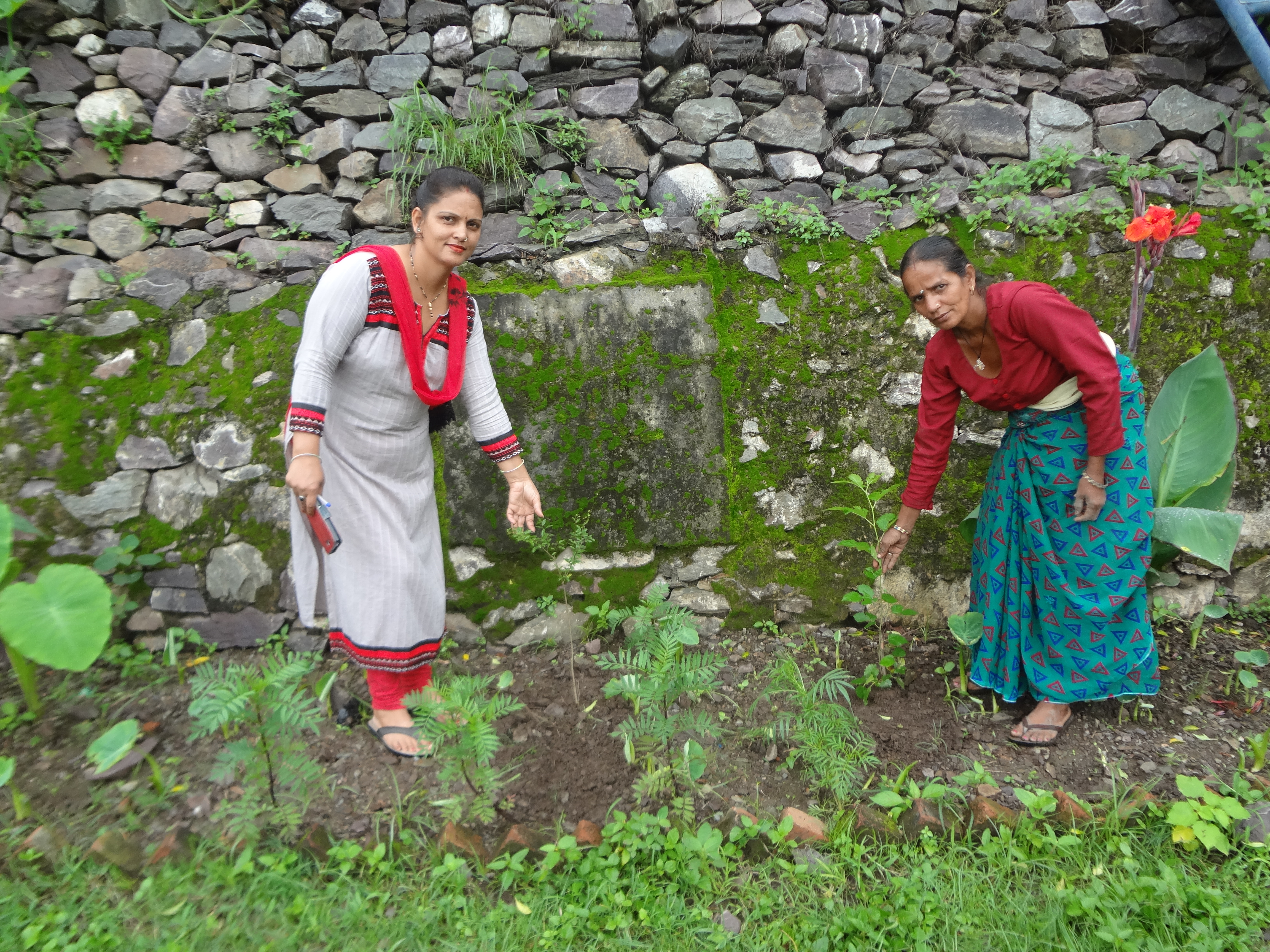 Successfully Plantation Of 1000 Plants In July 2017