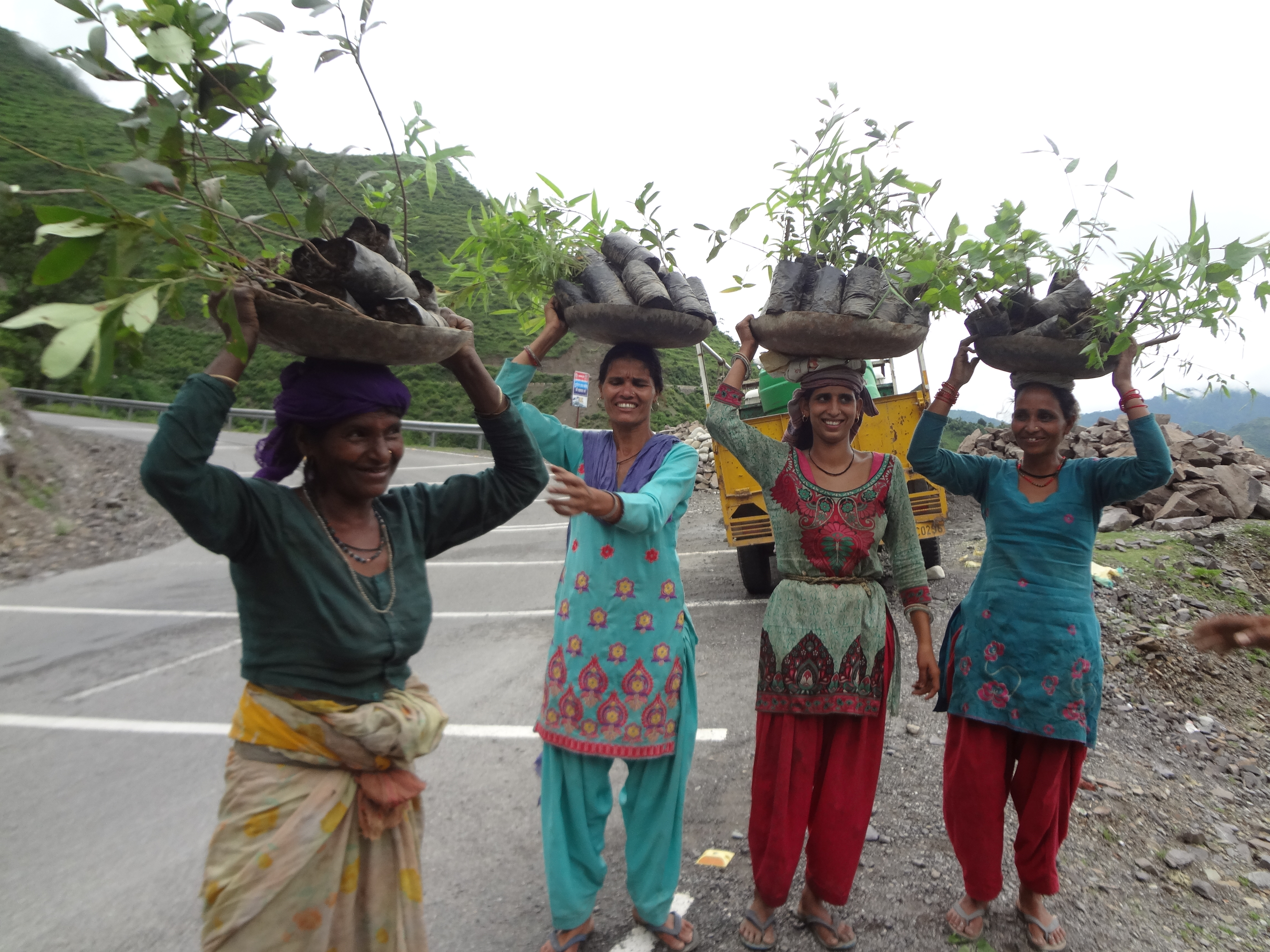 Successfully Plantation Of 1000 Plants In July 2017