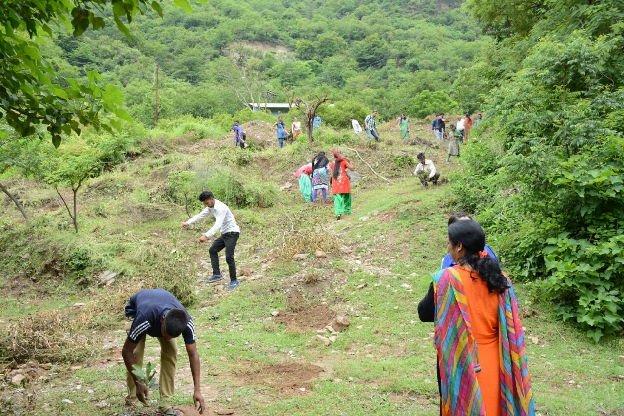  FIXING OF TREE GUARDS TO PROTECT THE YOUNG TREES 