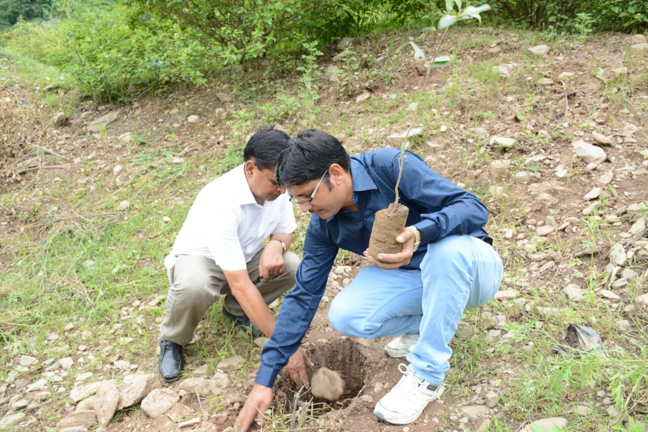  FIXING OF TREE GUARDS TO PROTECT THE YOUNG TREES 