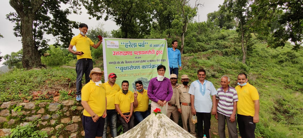 Planting Trees For Environment Support And Protection