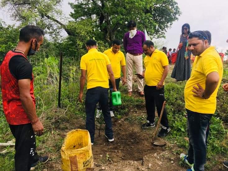 Planting Trees For Environment Support And Protection