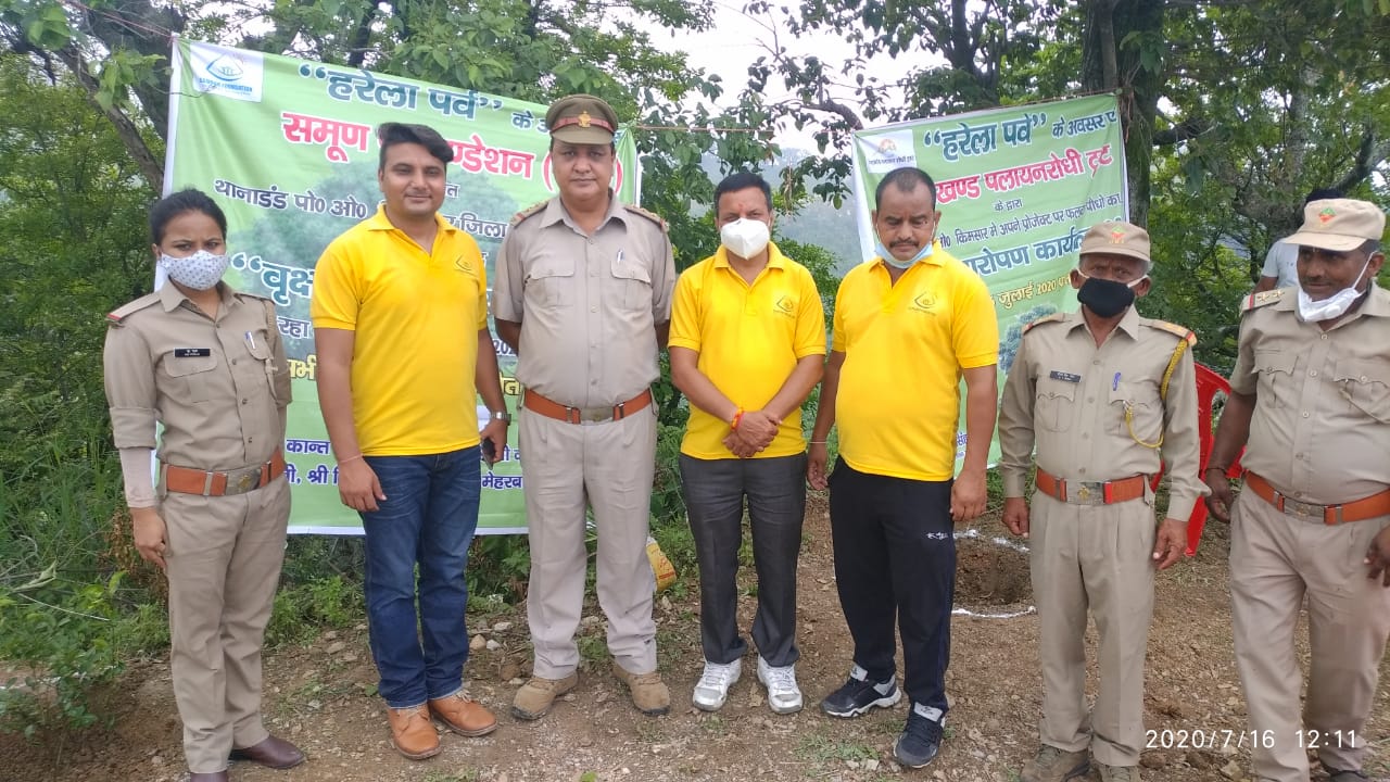 Planting Trees For Environment Support And Protection