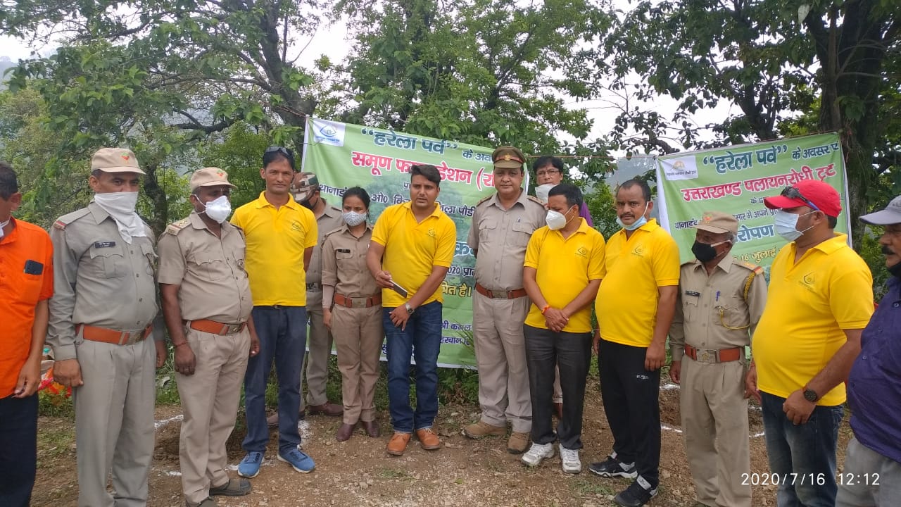 Planting Trees For Environment Support And Protection