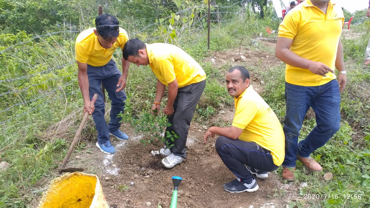 Planting Trees For Environment Support And Protection