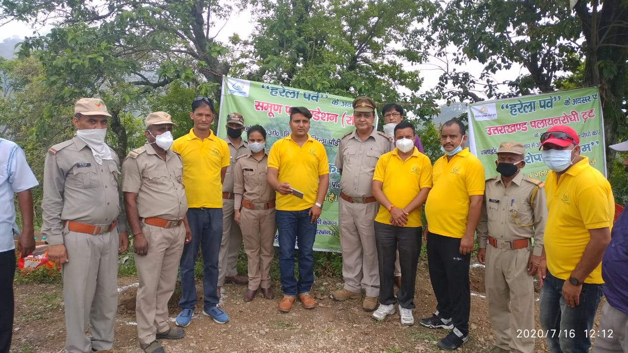 Planting Trees For Environment Support And Protection