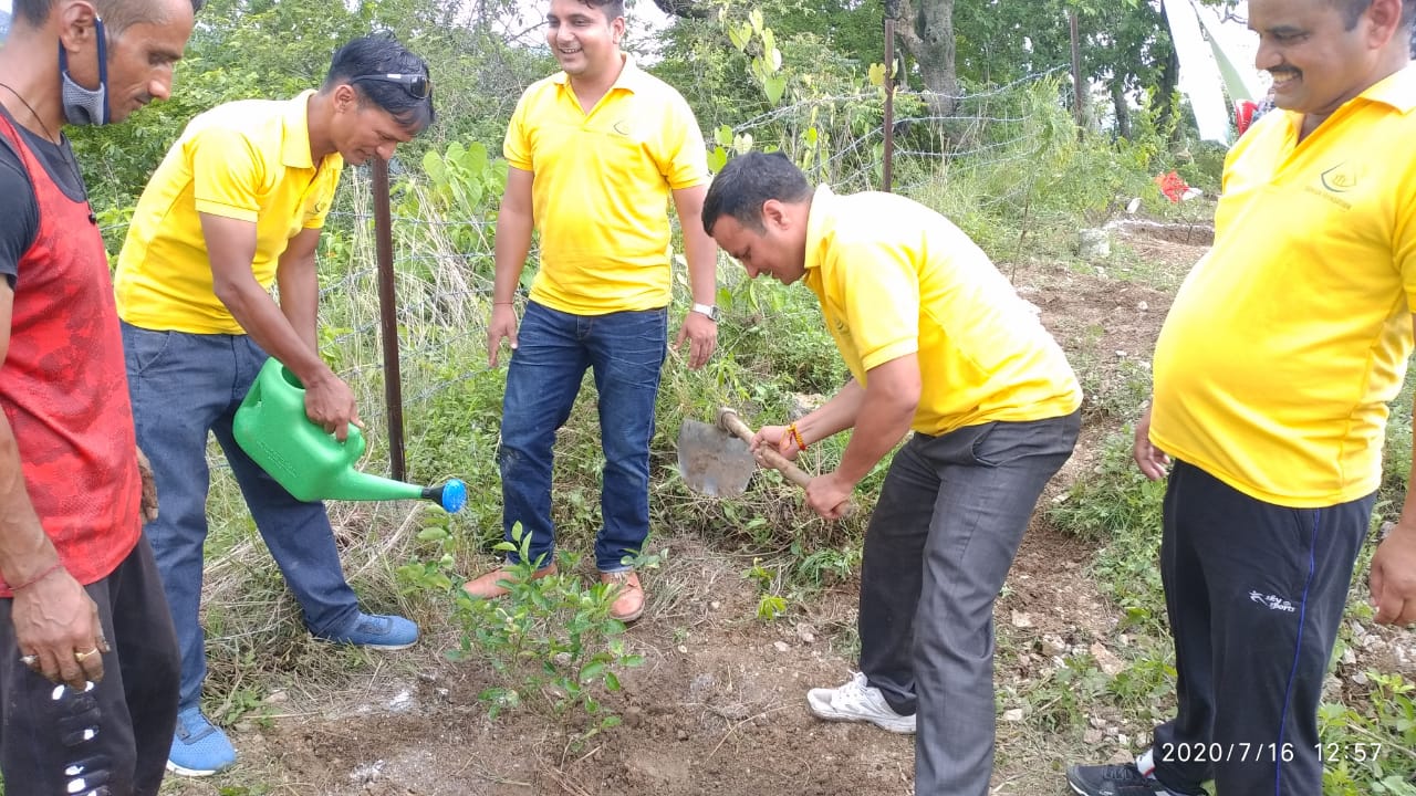 Plant Trees To Save Lives - Plantation Drive By Samoon