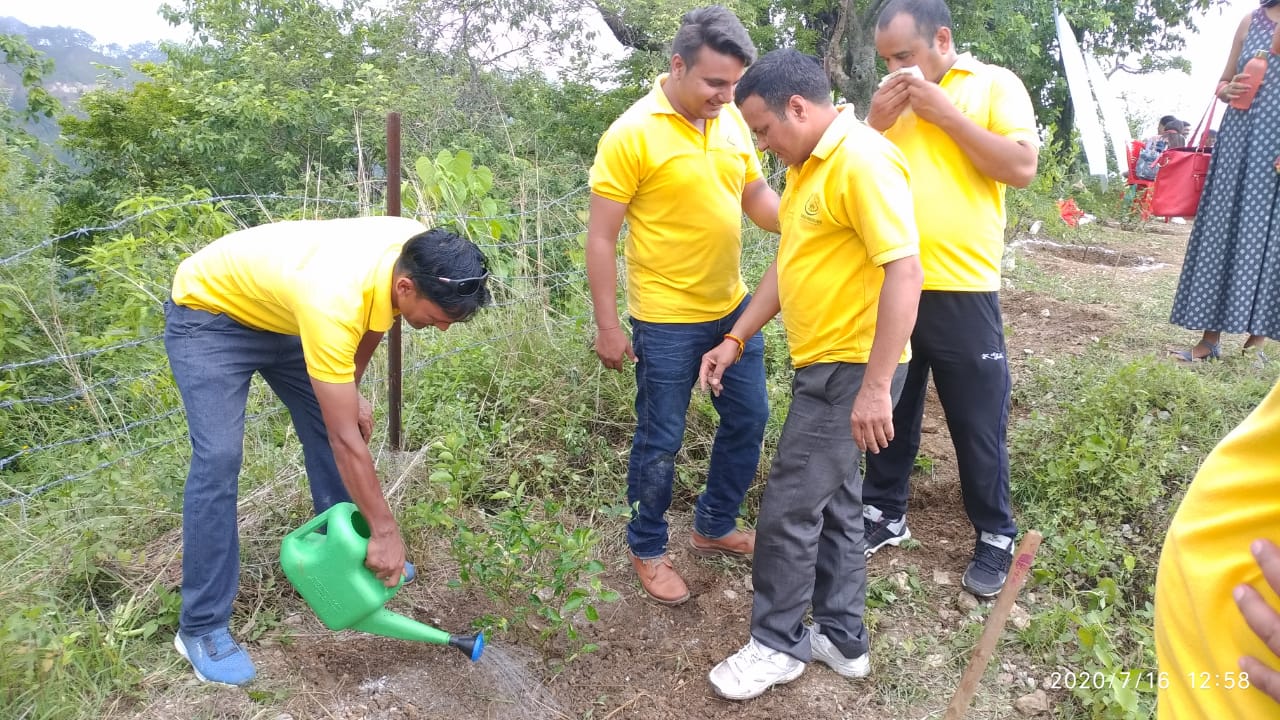 Planting Trees For Environment Support And Protection