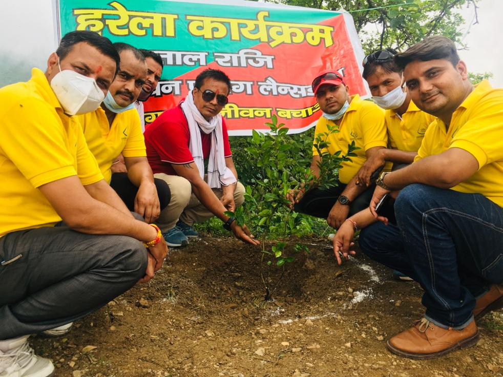 Planting Trees For Environment Support And Protection