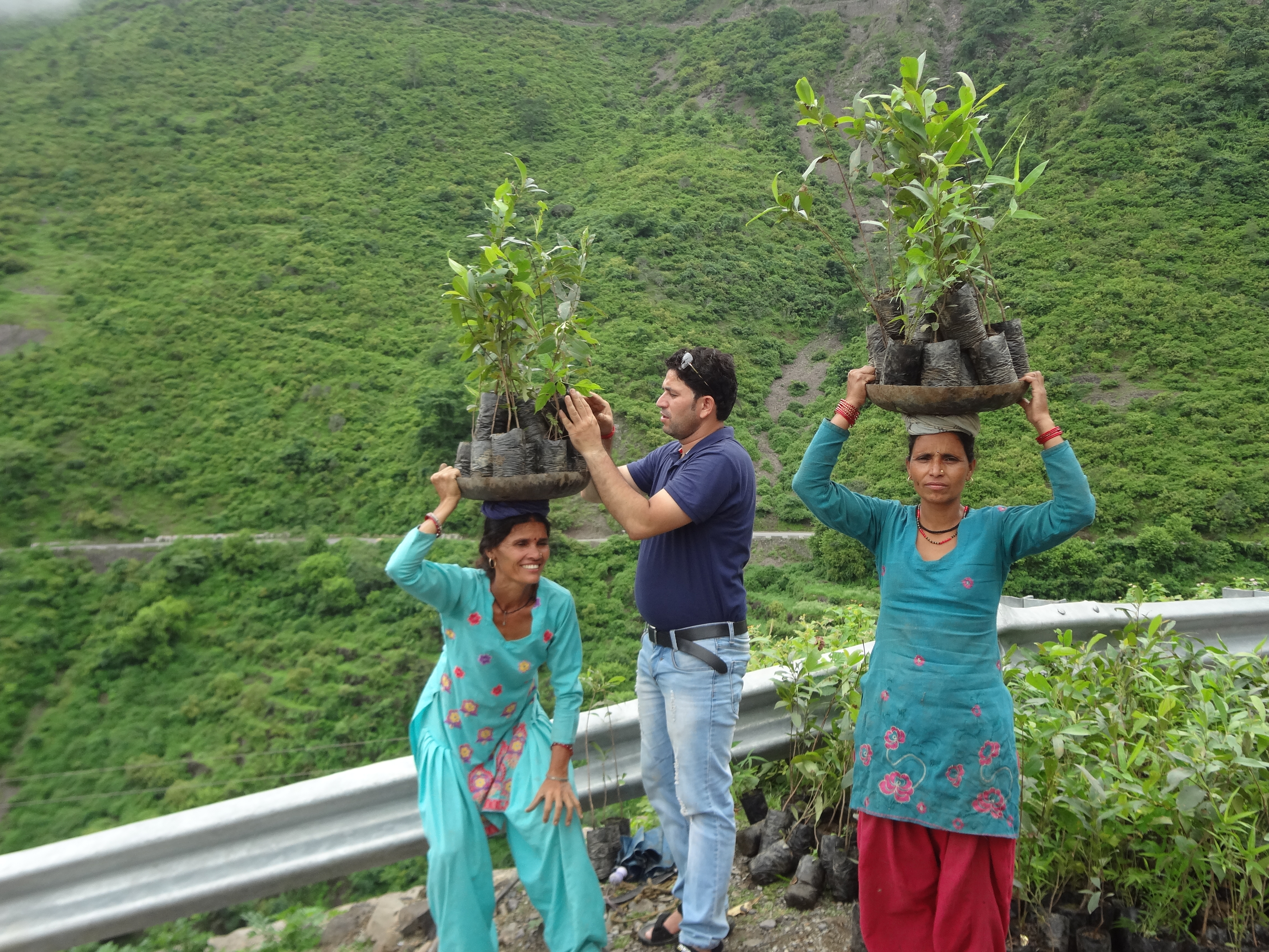 Successfully Plantation Of 1000 Plants In July 2017
