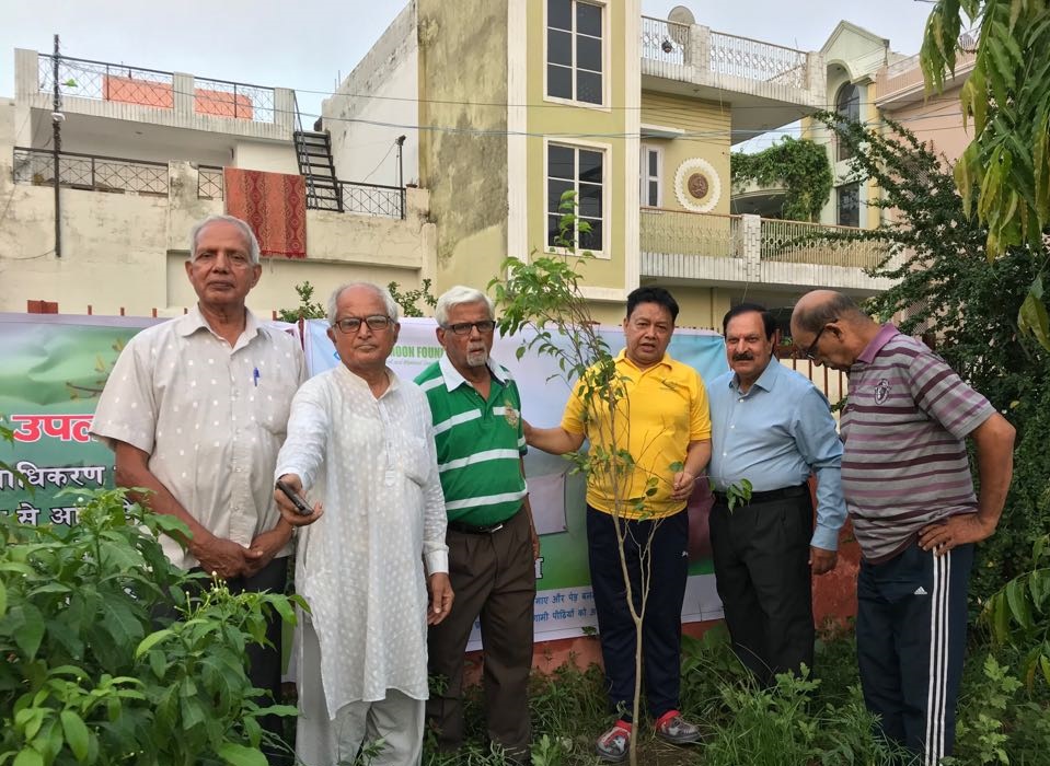 RELATIONSHIP WITH TREES: TREE PLANTATION - THIRD PHASE