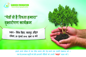 RELATIONSHIP WITH TREES: TREE PLANTATION - THIRD PHASE